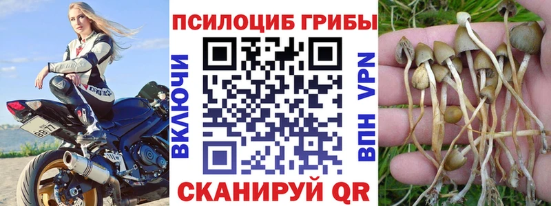 где продают наркотики  Алейск  Галлюциногенные грибы Magic Shrooms 